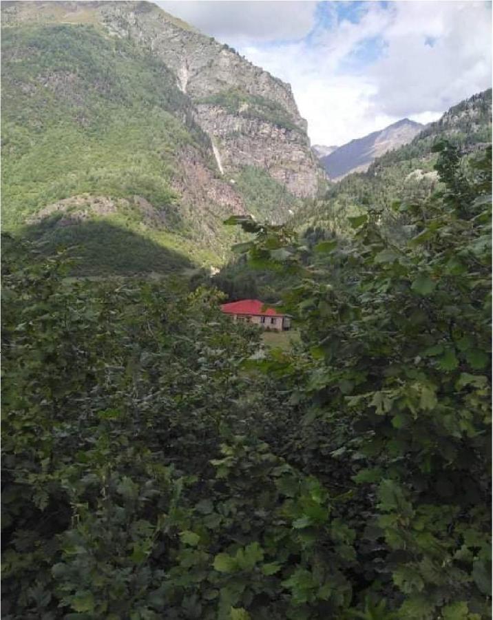 Guest House Malkhaz Niguriani Zhabeshi Exterior photo